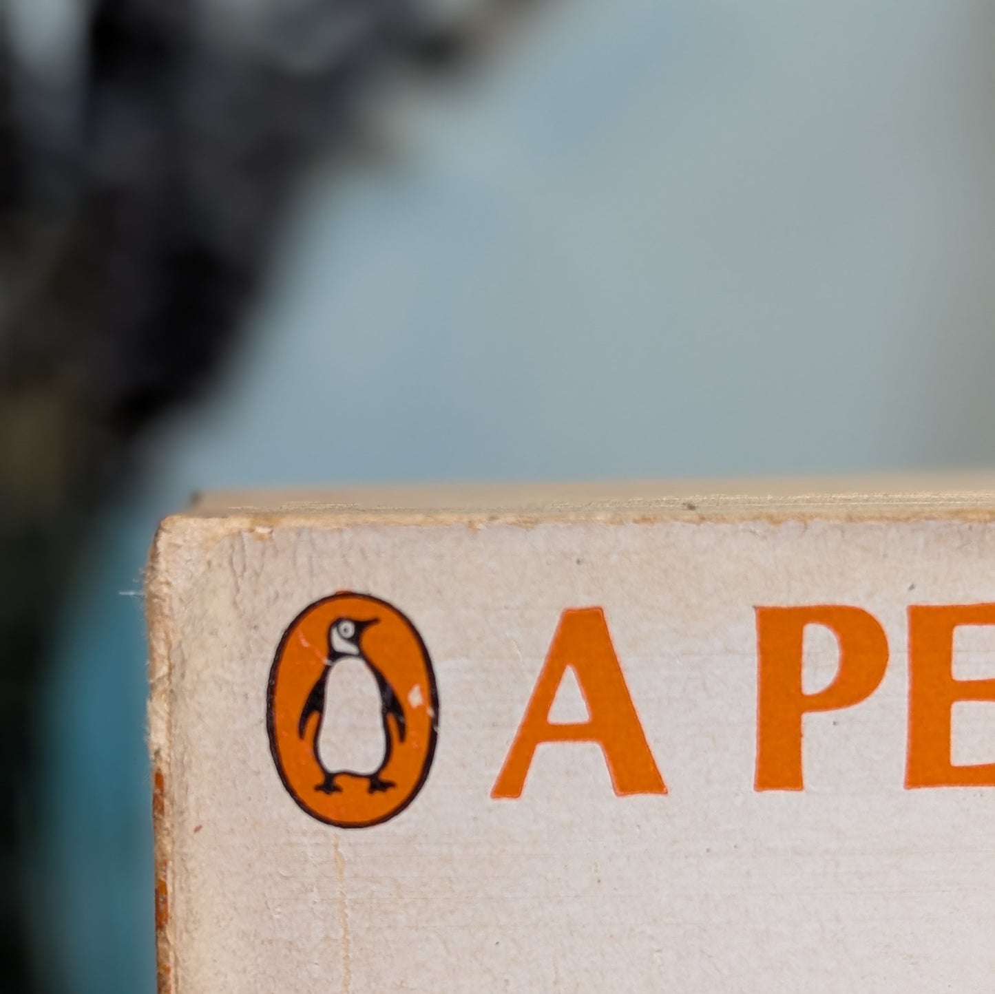 Vintage Penguin Book Box