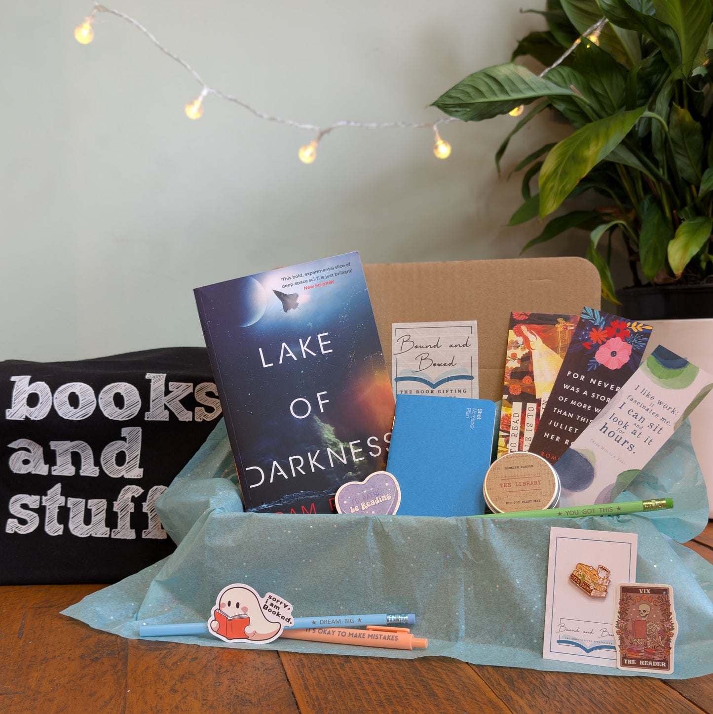 Sci-Fi Reader Book Box